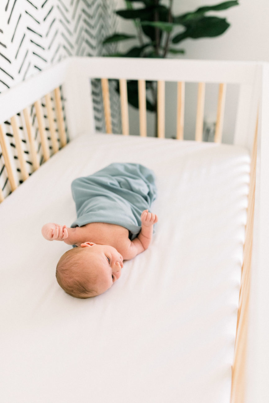 Neutral Animal Theme Nursery Newborn Session Meagan Ash Photography